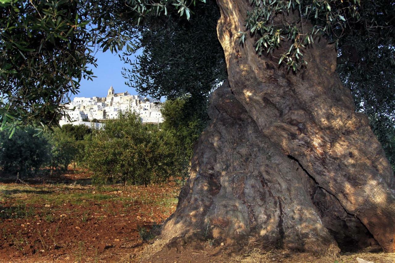 B&B La Stradella Ostuni Dış mekan fotoğraf